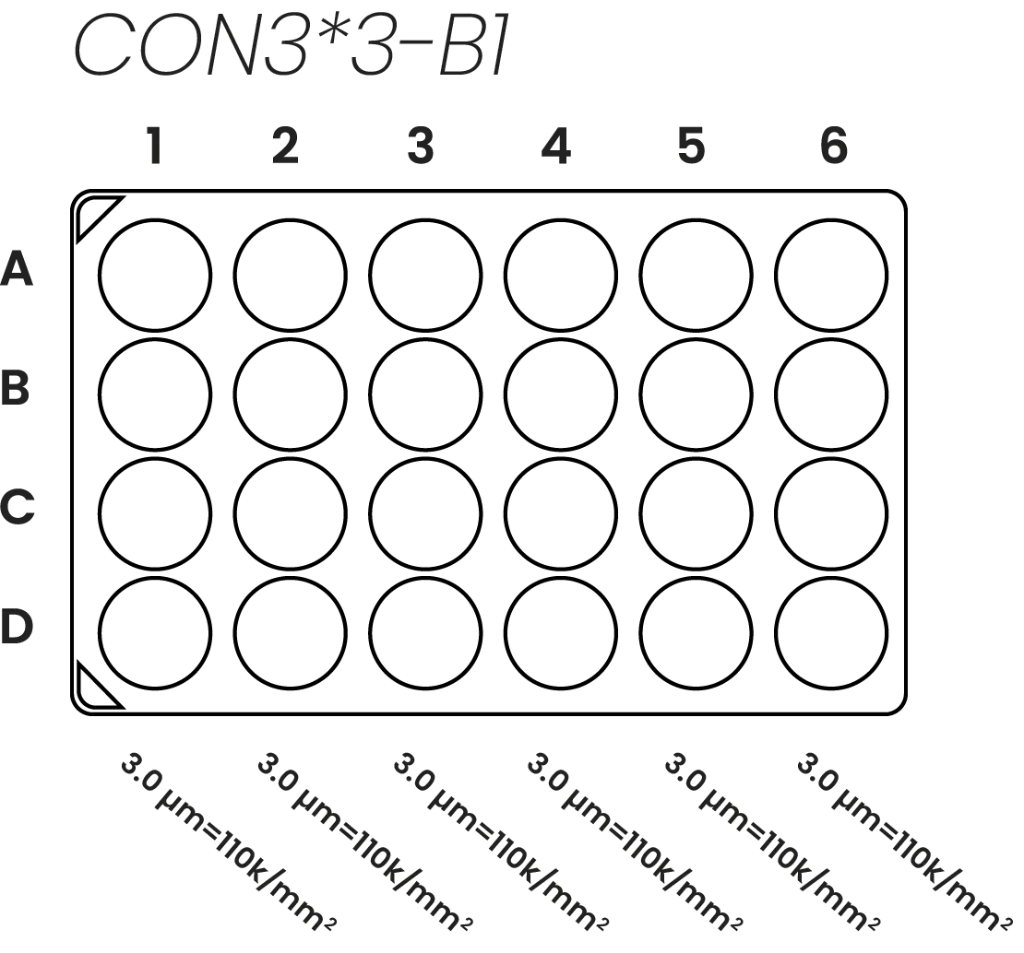 plate diagram_constant 3_web_USF.webp