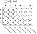 plate diagram_constant 3_web_USF.webp