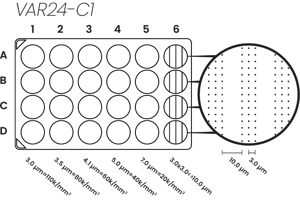 VAR24C1.webp