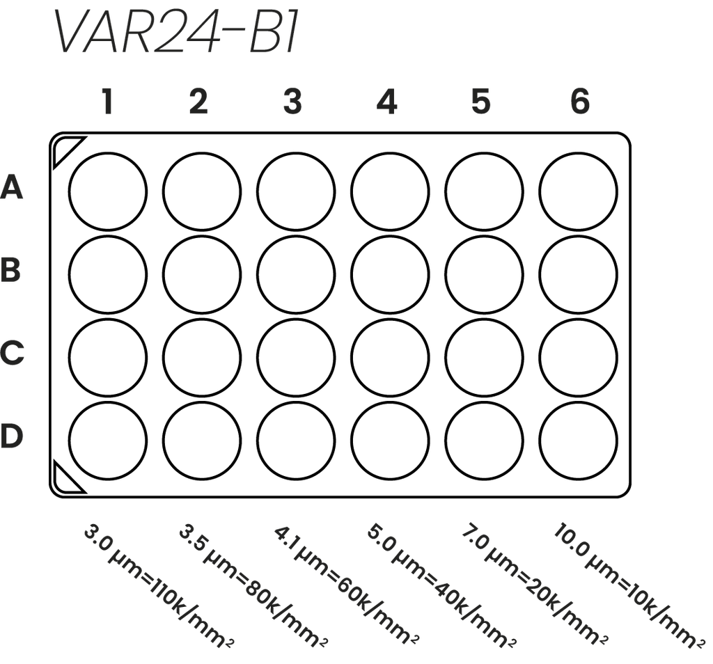 VAR24-B1