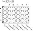 VAR24-B1