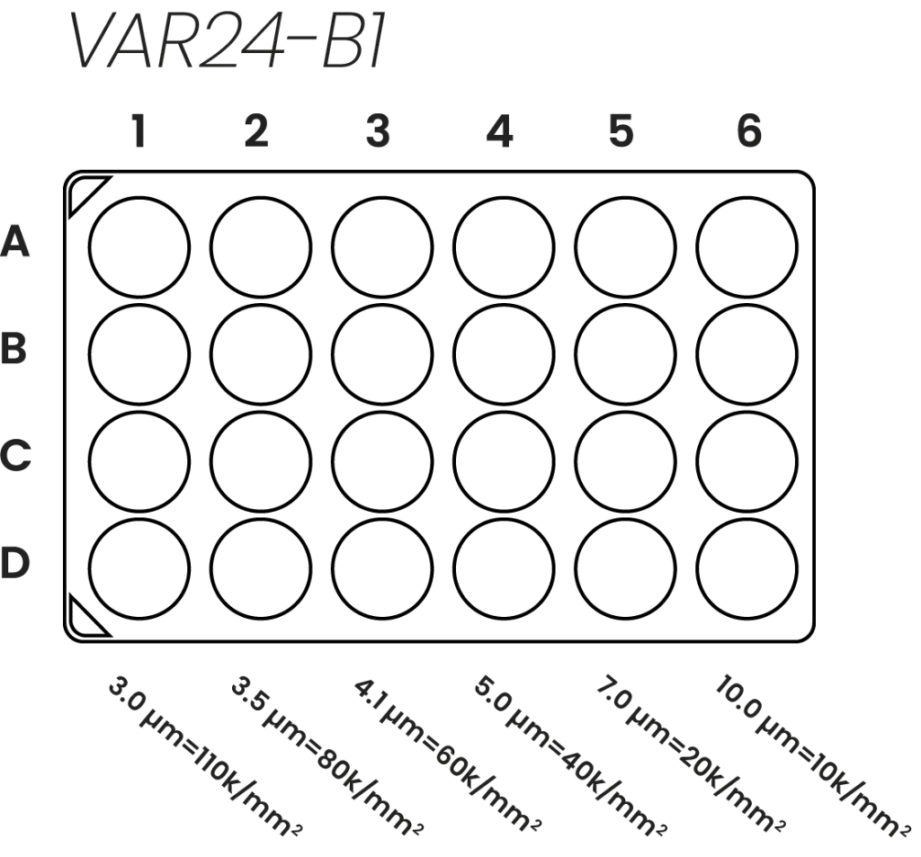 Tuning Well Plate Image.webp