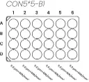 plate diagram_constant 5_web_USF.webp