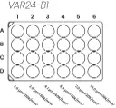 Free Tuning Well Plate